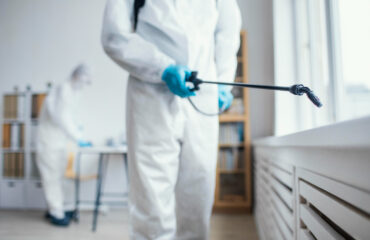 Dératisation professionnelle